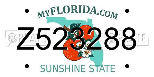Z523288 Florida License Plate