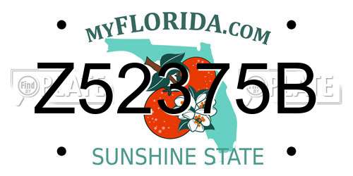 Z52375B Florida License Plate