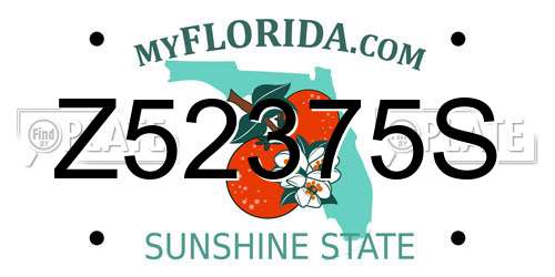Z52375S Florida License Plate
