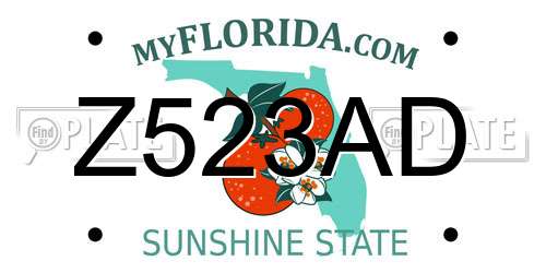 Z523AD Florida License Plate