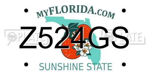 Z524GS Florida License Plate