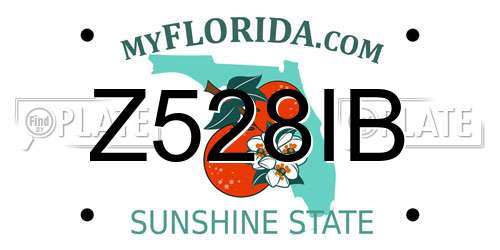 Z528IB Florida License Plate