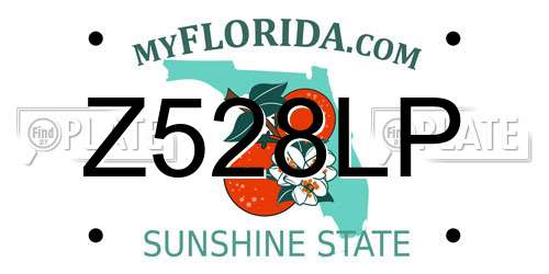 Z528LP Florida License Plate