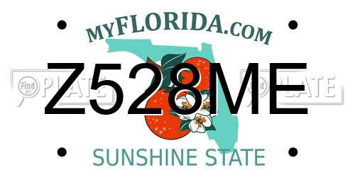 Z528ME Florida License Plate