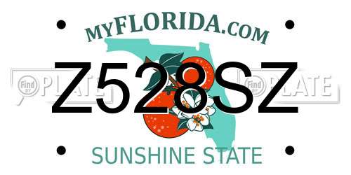 Z528SZ Florida License Plate