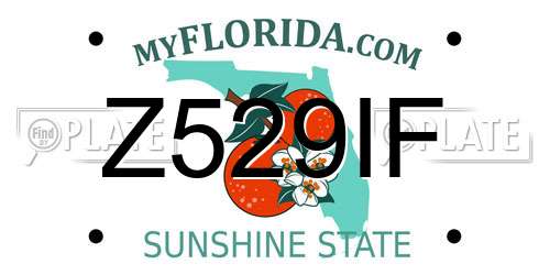 Z529IF Florida License Plate