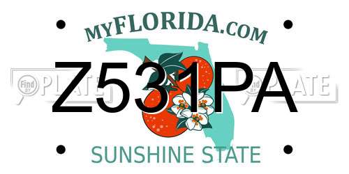 Z531PA Florida License Plate