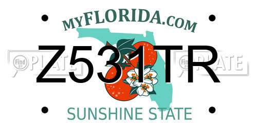 Z531TR Florida License Plate
