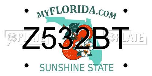 Z532BT Florida License Plate