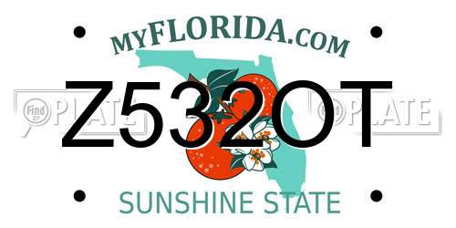Z532OT Florida License Plate