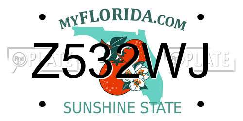 Z532WJ Florida License Plate