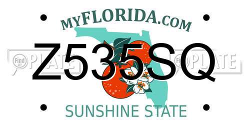 Z535SQ Florida License Plate