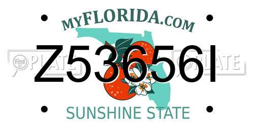 Z53656I Florida License Plate