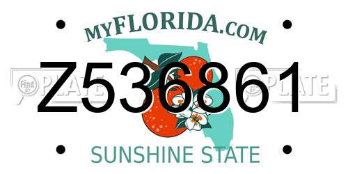 Z536861 Florida License Plate