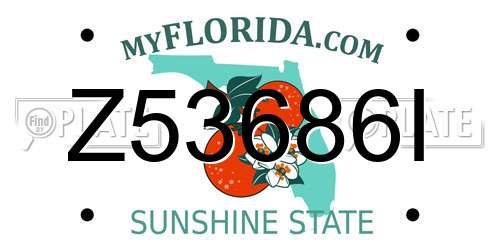 Z53686I Florida License Plate