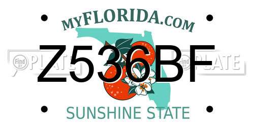 Z536BF Florida License Plate