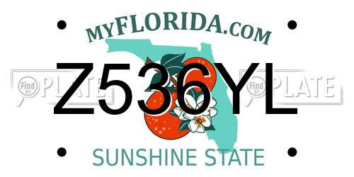 Z536YL Florida License Plate