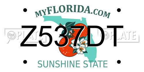 Z537DT Florida License Plate