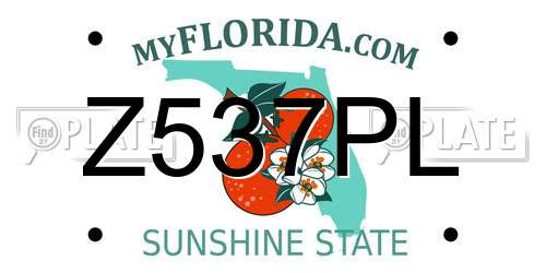 Z537PL Florida License Plate