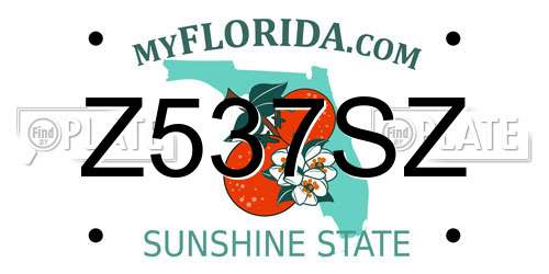 Z537SZ Florida License Plate