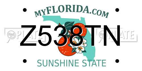 Z538TN Florida License Plate