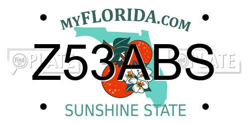 Z53ABS Florida License Plate