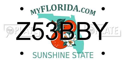 Z53BBY Florida License Plate