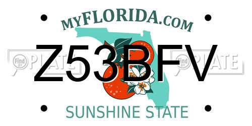 Z53BFV Florida License Plate