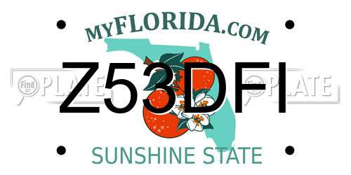 Z53DFI Florida License Plate