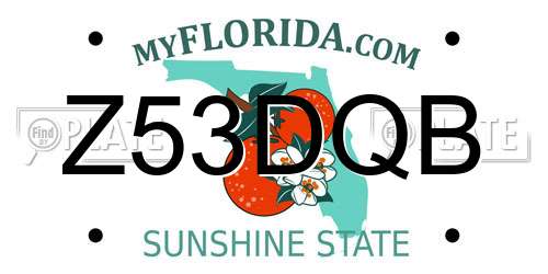 Z53DQB Florida License Plate