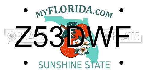 Z53DWF Florida License Plate