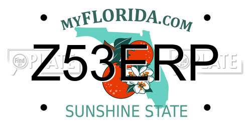 Z53ERP Florida License Plate