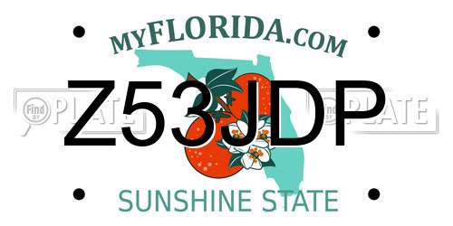 Z53JDP Florida License Plate