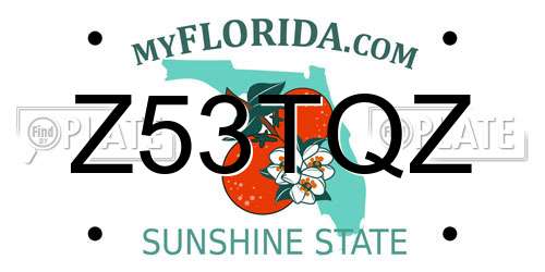 Z53TQZ Florida License Plate