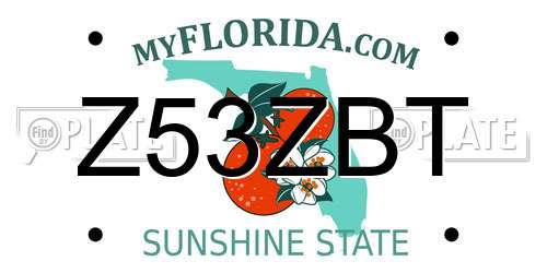 Z53ZBT Florida License Plate