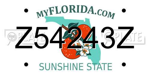 Z54243Z Florida License Plate