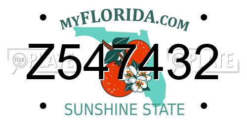 Z547432 Florida License Plate