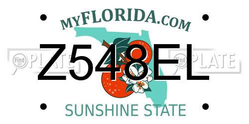 Z548EL Florida License Plate