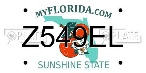 Z549EL Florida License Plate