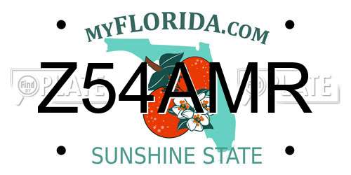 Z54AMR Florida License Plate