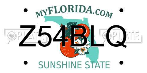 Z54BLQ Florida License Plate