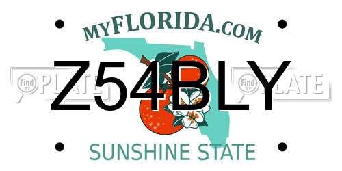 Z54BLY Florida License Plate