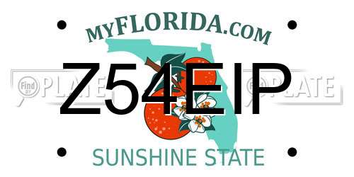 Z54EIP Florida License Plate