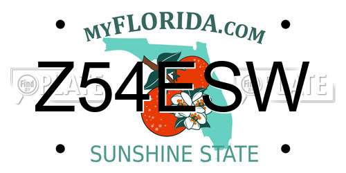 Z54ESW Florida License Plate