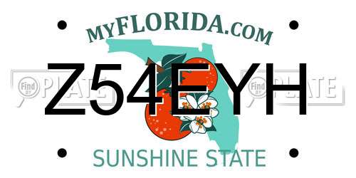 Z54EYH Florida License Plate