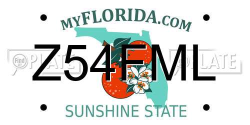 Z54FML Florida License Plate