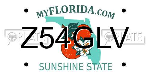 Z54GLV Florida License Plate