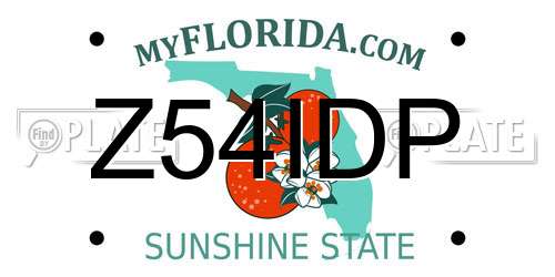 Z54IDP Florida License Plate