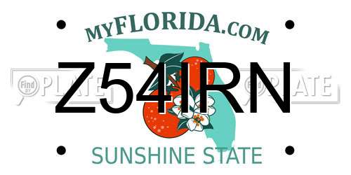 Z54IRN Florida License Plate