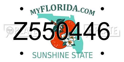Z550446 Florida License Plate